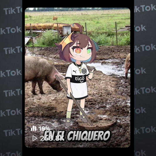 TikTok 6